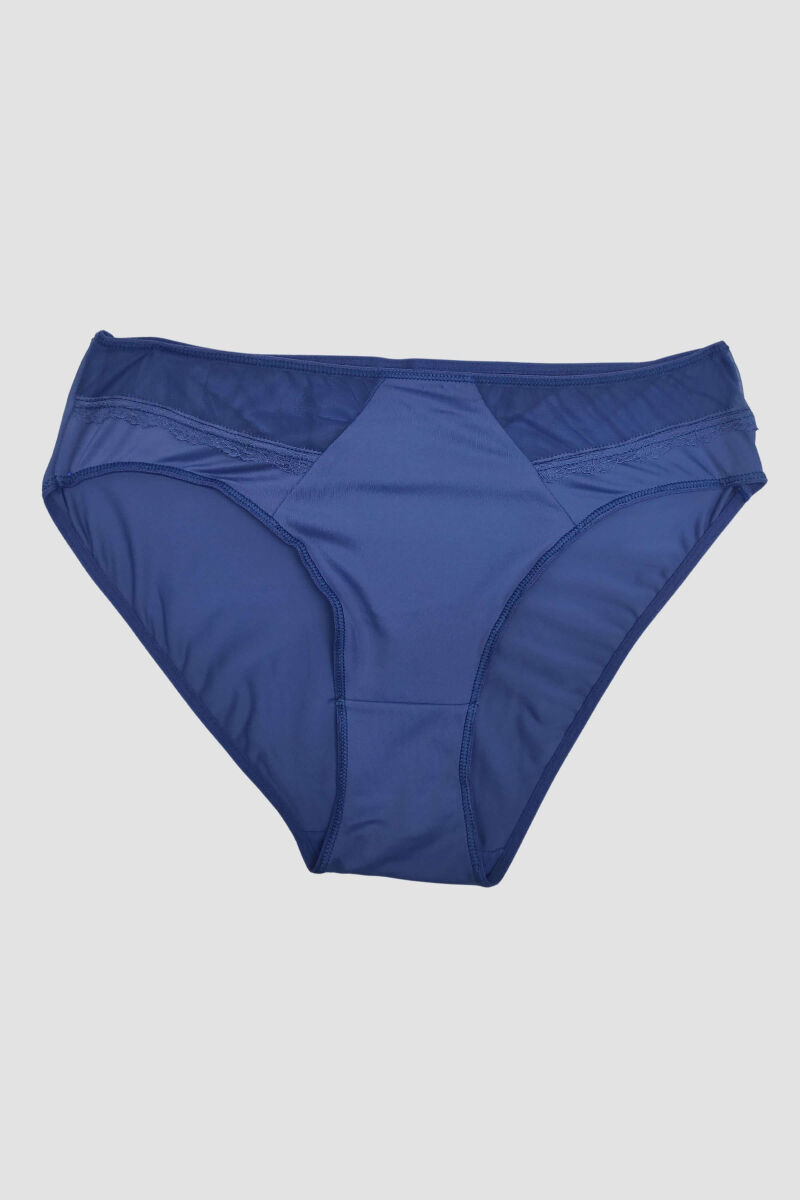 Kadın Mikro Kumaş Tüllü Slip (2779) - 1